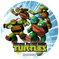 Figuras Tortugas Ninja