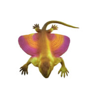 animal elastico flexible reptil dragon volador